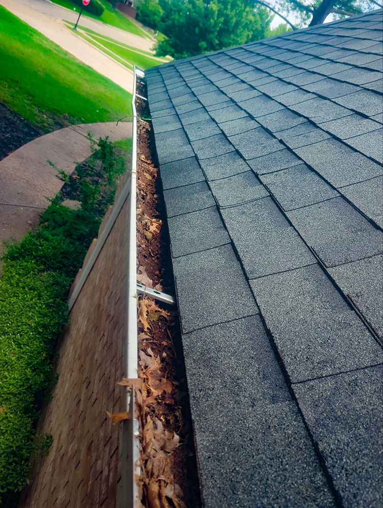 Gutter Cleaning